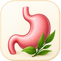 Digestive Wellness - Classical Ayurvedic Therapy & Formulations